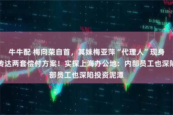 牛牛配 梅向荣自首，其妹梅亚萍“代理人”现身接待点，传达两套偿付方案！实探上海办公地：内部员工也深陷投资泥潭