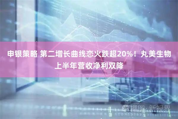 申银策略 第二增长曲线恋火跌超20%！丸美生物上半年营收净利双降