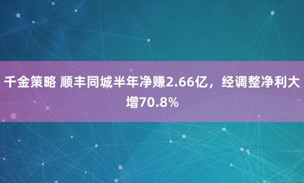 千金策略 顺丰同城半年净赚2.66亿，经调整净利大增70.8%